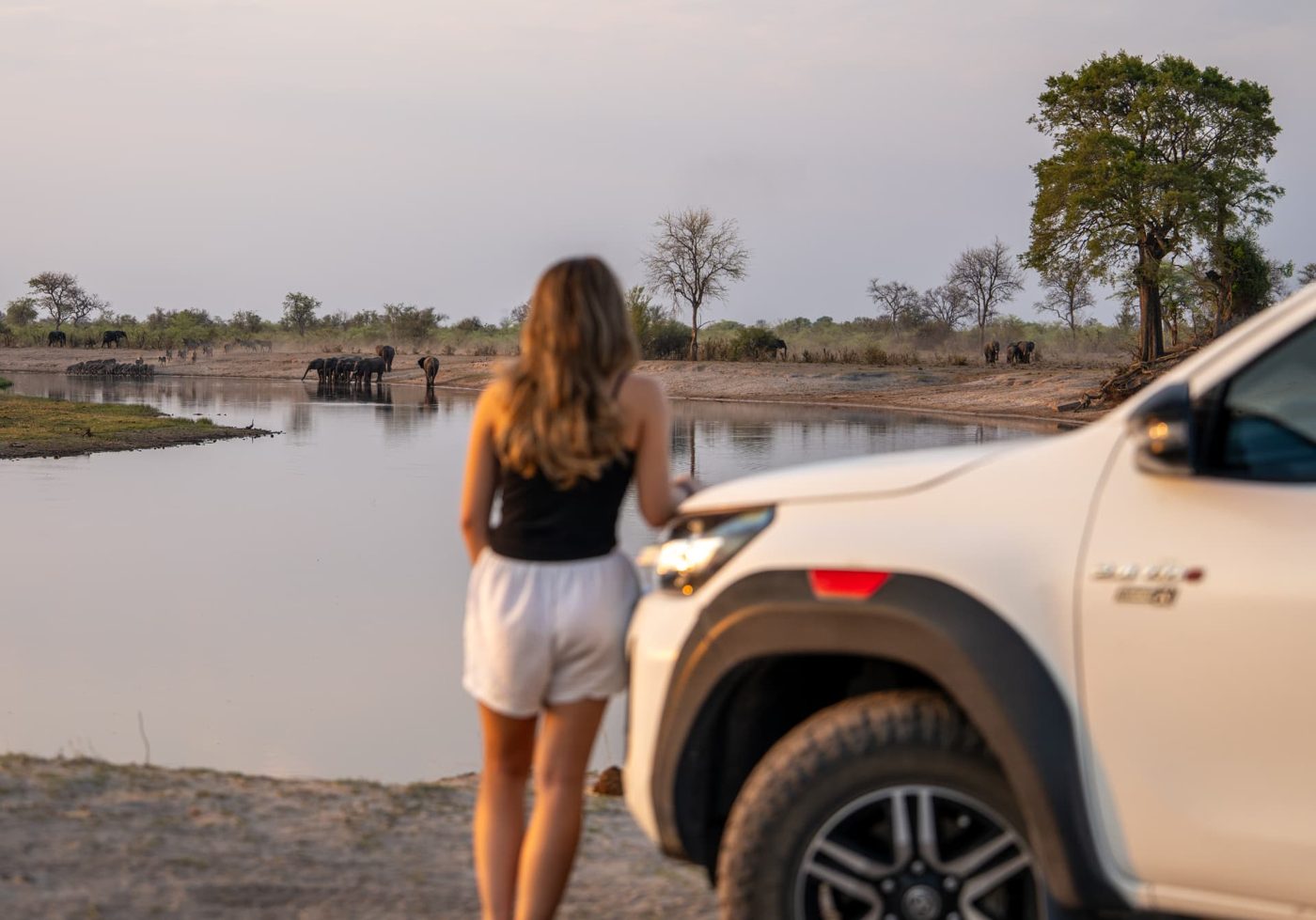 Traveller beside a white Toyota Hilux watching elephants at a waterhole at sunset in Namibia